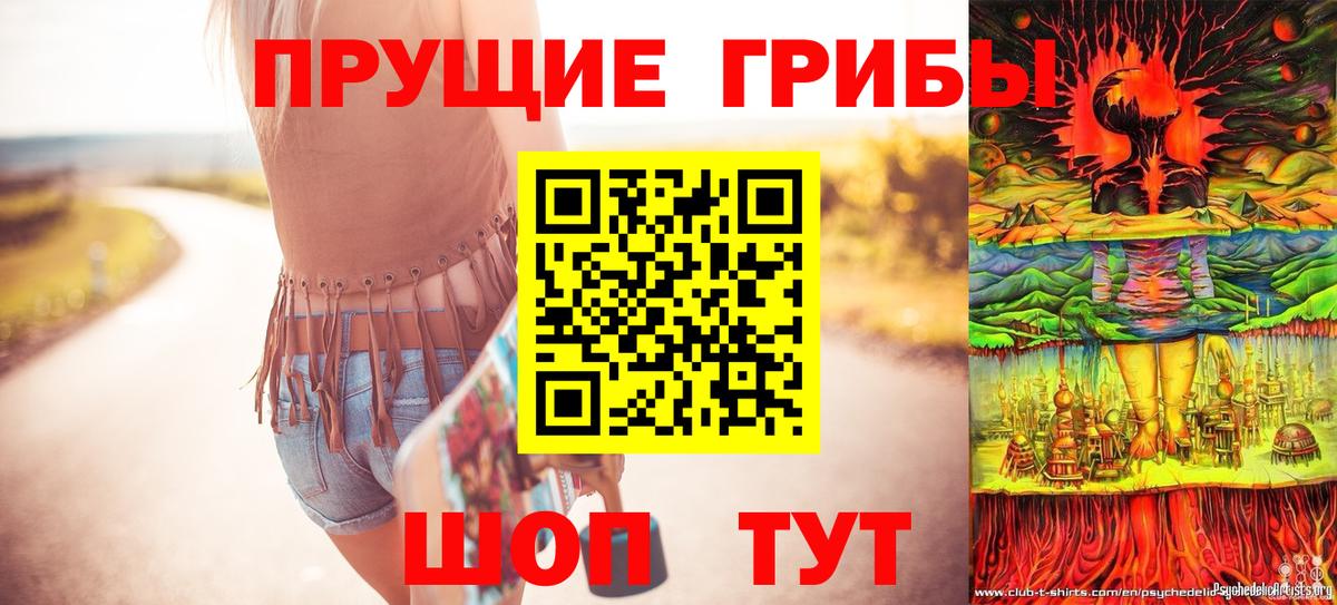 Псилоцибиновые грибы ЛСД  Галлюциногенные грибы мицелий  Вход с VPN  Гурьевск 