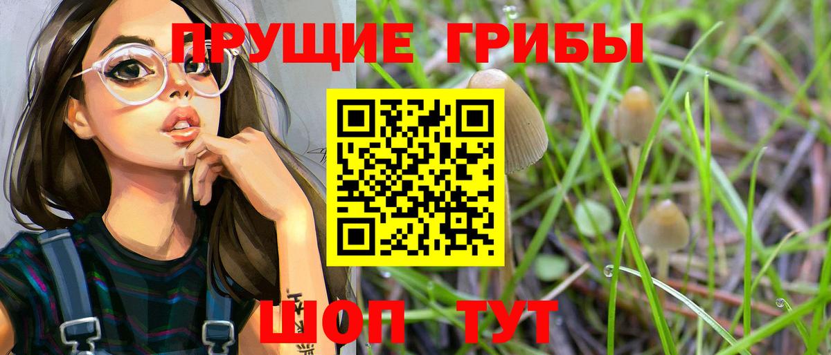 Псилоцибиновые грибы Psilocybine cubensis Гурьевск